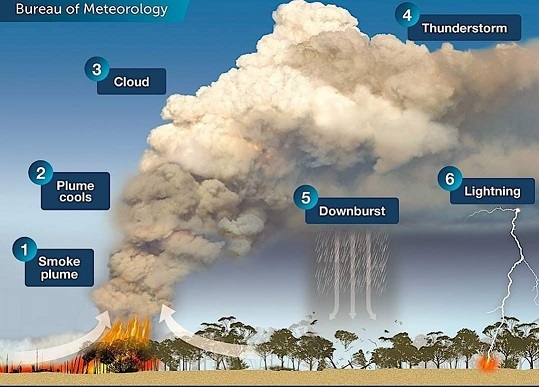 Bureau of Meteorology